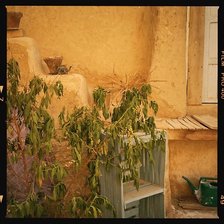 Baben Home Siwa Oasis Dış mekan fotoğraf